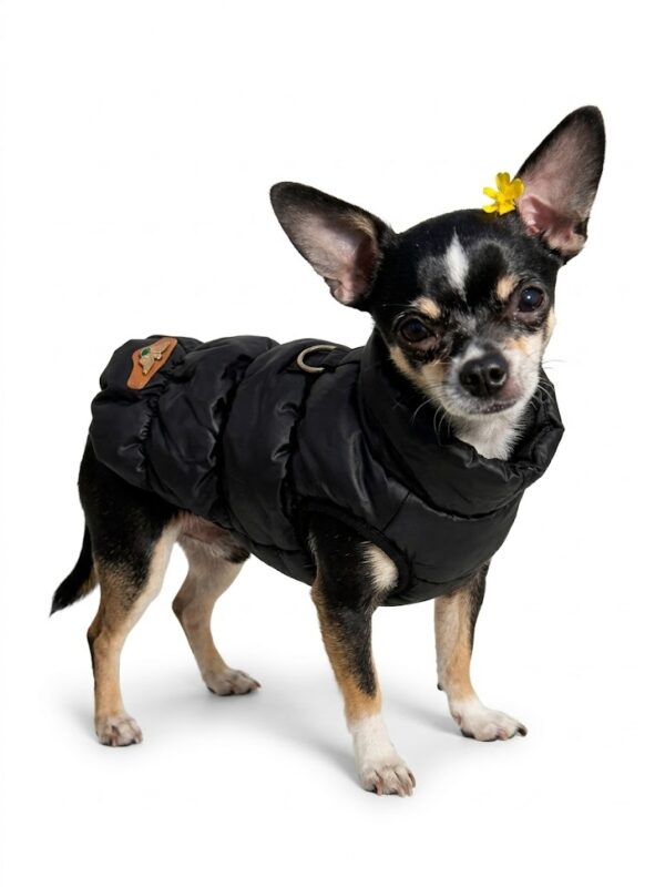 Milieuvriendelijke Hondenjas